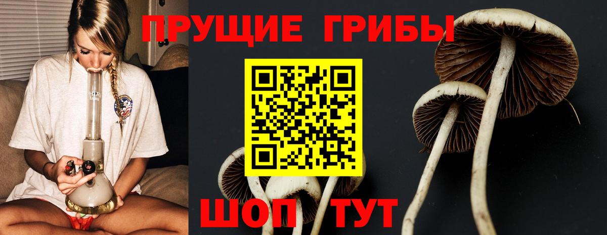 Галлюциногенные грибы мухоморы Геленджик
